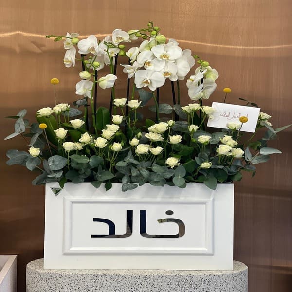 5fd6d62c_WhatsApp Image 2026-01-27 at 3.37.06 PM (1).jpeg